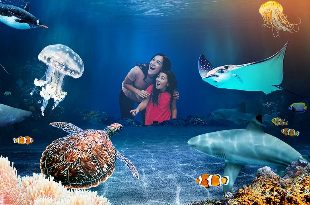 Aquariums & Zoos